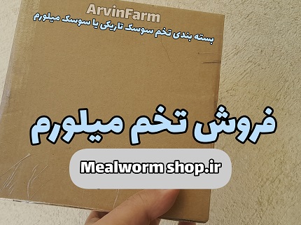 خرید تخم‌ کرم میلورم